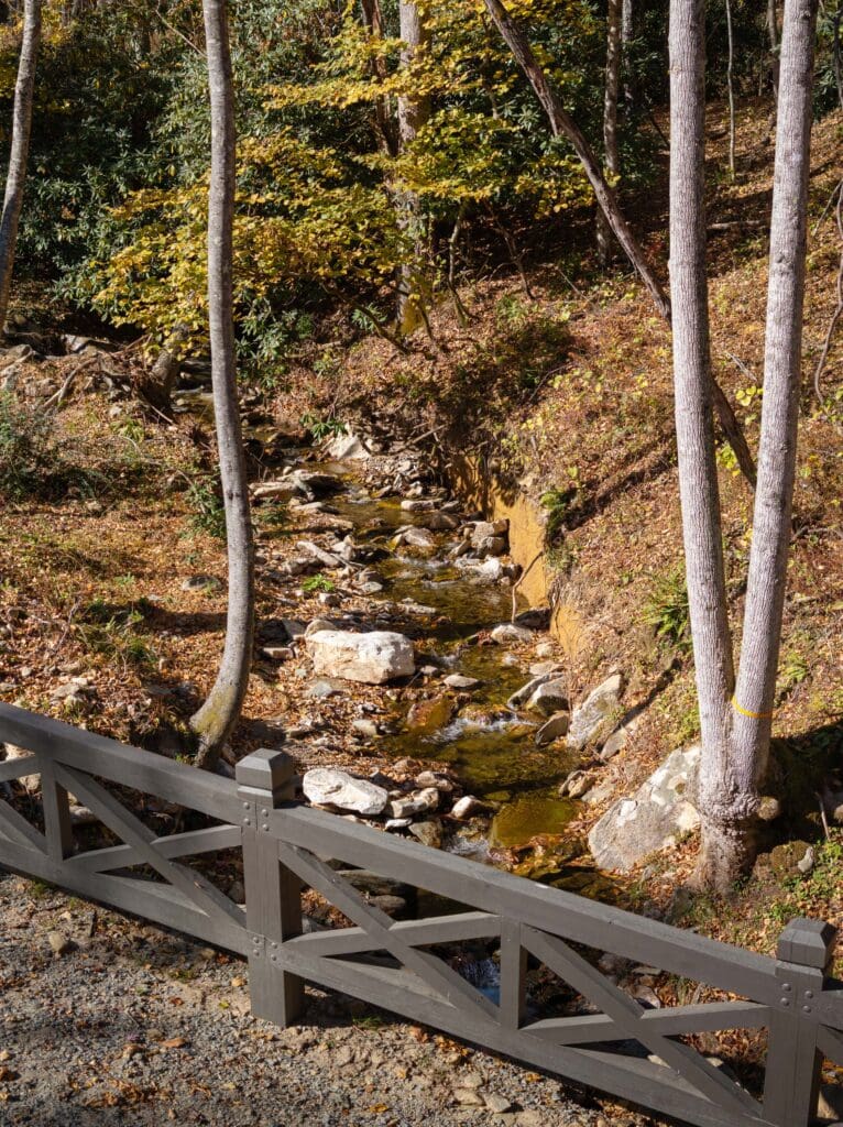 Forest creek with wooden fence and trees.