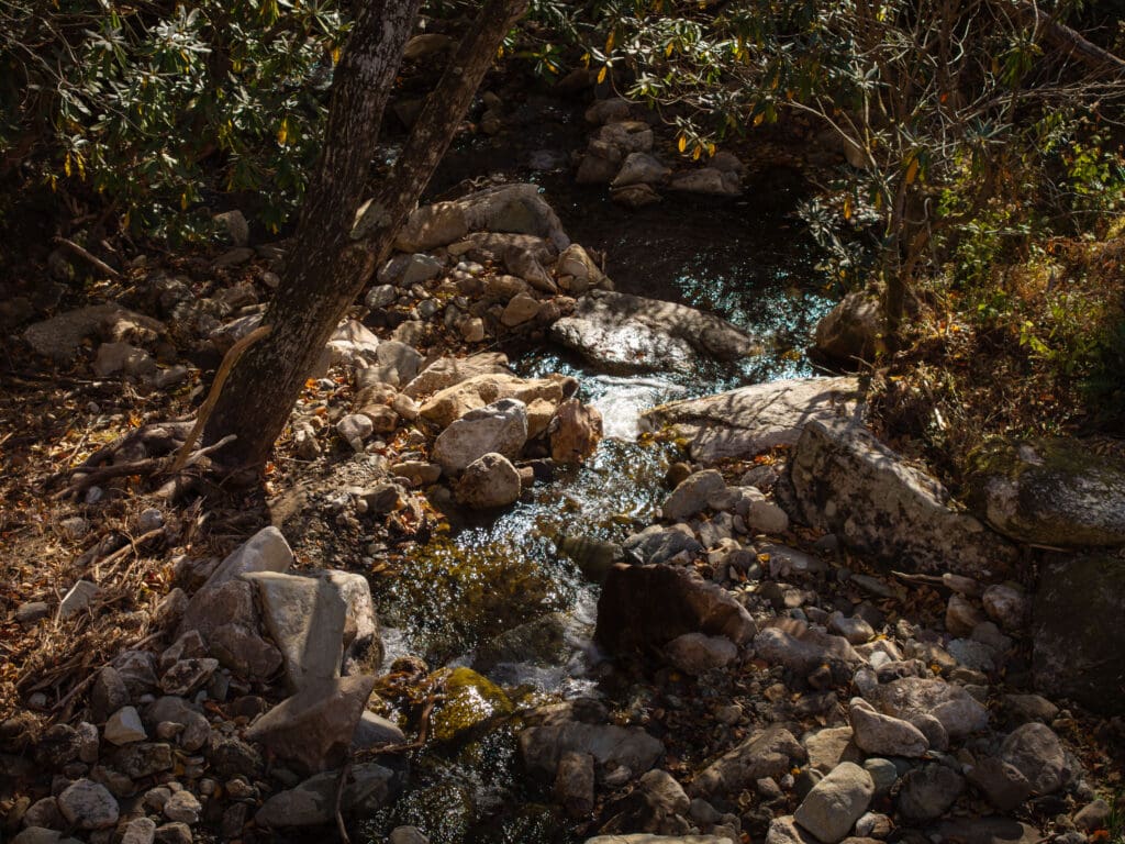 Rocky stream surrounded by trees and rocks.