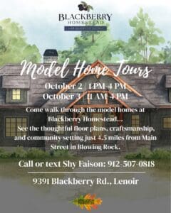 Blackberry Honestead Model Homes Tour